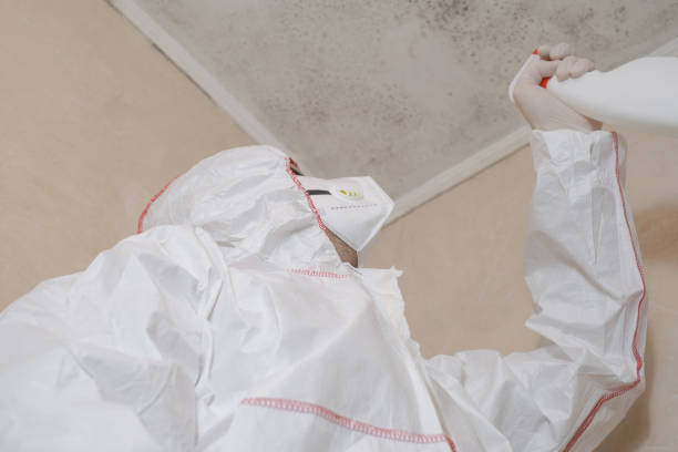 Best Mold Cleaning Services  in Neillsville, WI